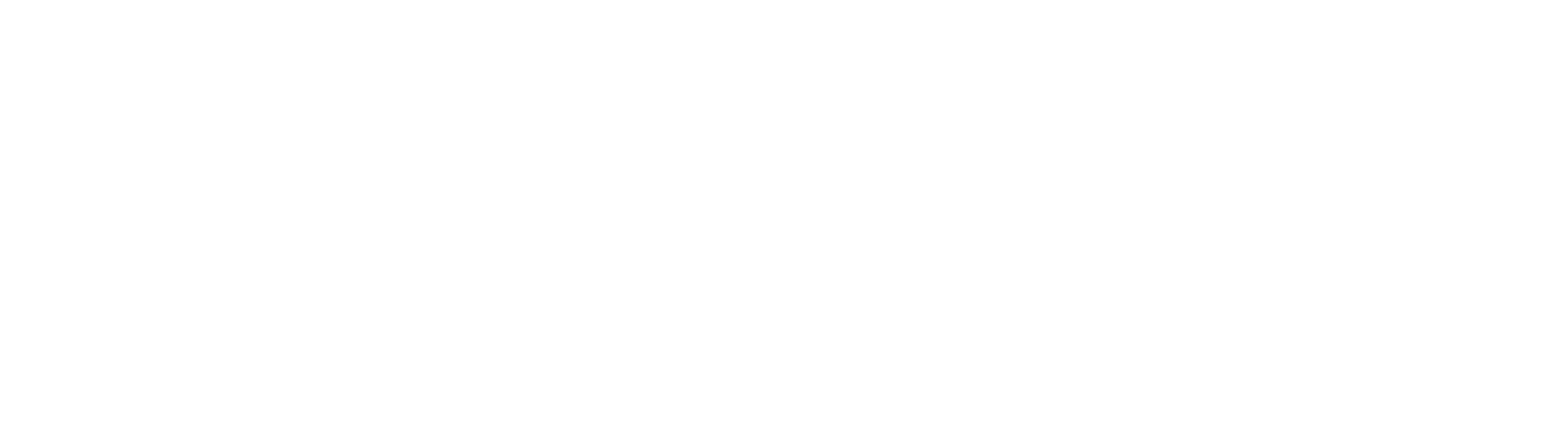 Dir IPS (dev)